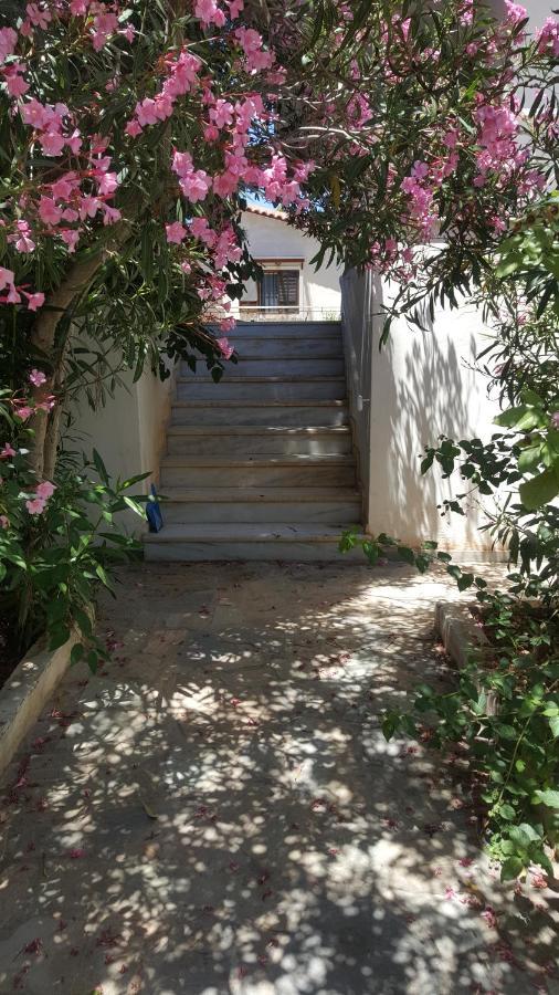Joan'S Airport Apartment أرتيميدا المظهر الخارجي الصورة